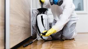 Best Termite Inspection and Treatment  in Sunny Isles Beach, FL